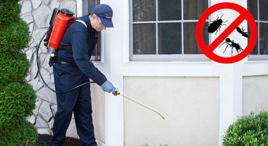 Adaklı Gümüşkurt İlaçlama böcek ilaçlama ve haşere kontrolü — ilaclama-tr.com